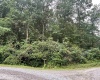 LOTS B-43 B-44 Paradise Circle, Morgantown, West Virginia 26508, ,Lots/land,For Sale,Paradise,10155700