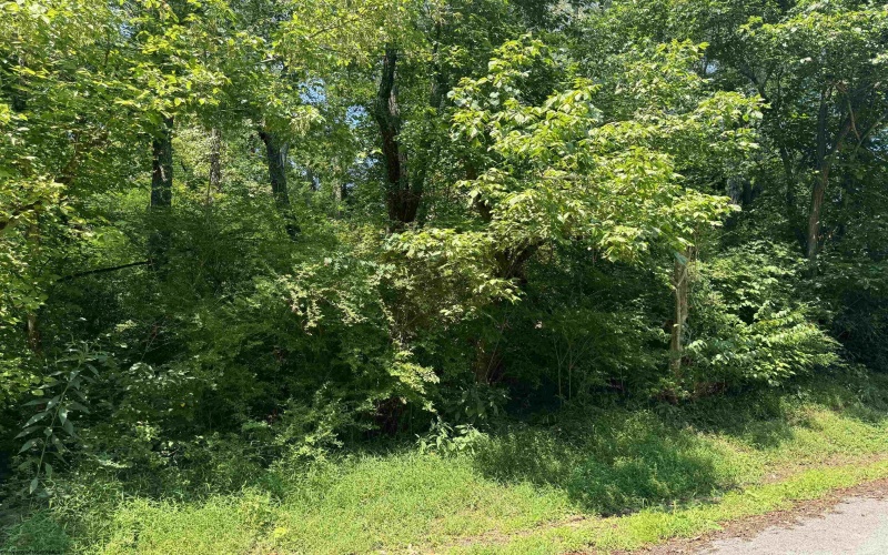 TBD Yodie Street, Fairmont, West Virginia 26554, ,Lots/land,For Sale,Yodie,10155697