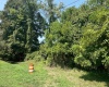 TBD Montgomery Avenue, Fairmont, West Virginia 26554, ,Lots/land,For Sale,Montgomery,10155698