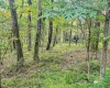 TBD Rhododendron Drive, Terra Alta, West Virginia 26764, ,Lots/land,For Sale,Rhododendron,10155721