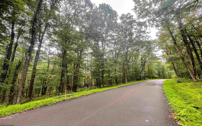 TBD Rhododendron Drive, Terra Alta, West Virginia 26764, ,Lots/land,For Sale,Rhododendron,10155721