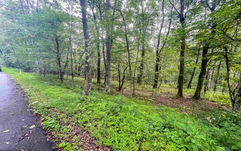 TBD Rhododendron Drive, Terra Alta, West Virginia 26764, ,Lots/land,For Sale,Rhododendron,10155721