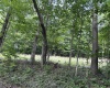 Lot 4 East Run Circle, Four States, West Virginia 26572, ,Lots/land,For Sale,East Run,10155722