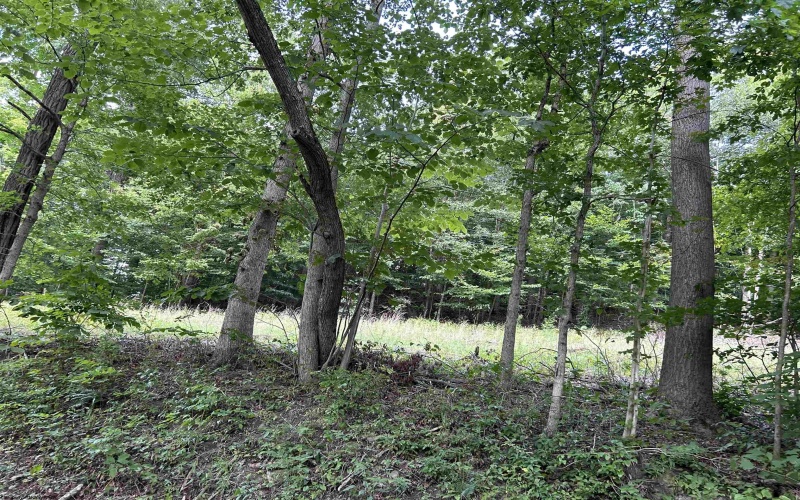 Lot 4 East Run Circle, Four States, West Virginia 26572, ,Lots/land,For Sale,East Run,10155722