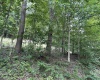 Lot 4 East Run Circle, Four States, West Virginia 26572, ,Lots/land,For Sale,East Run,10155722