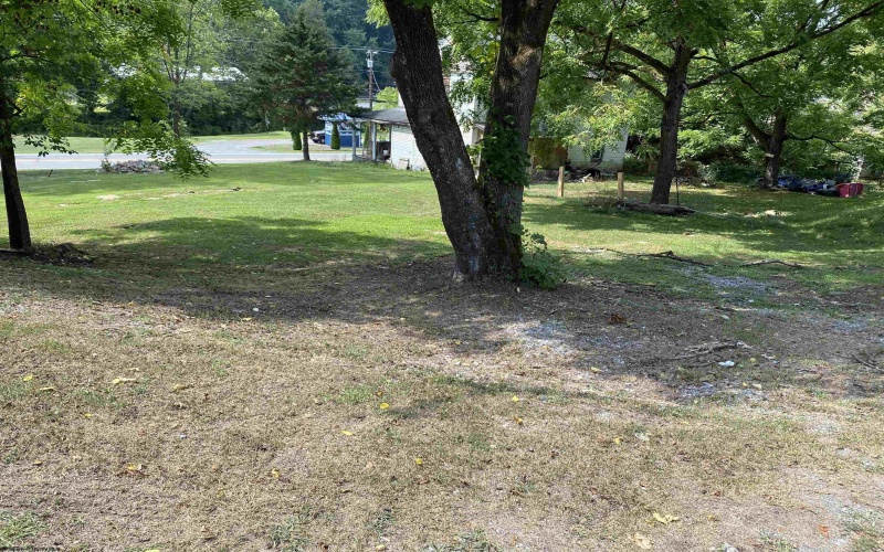 377 S Crim Avenue, Belington, West Virginia 26250, ,Lots/land,For Sale,S Crim,10155723