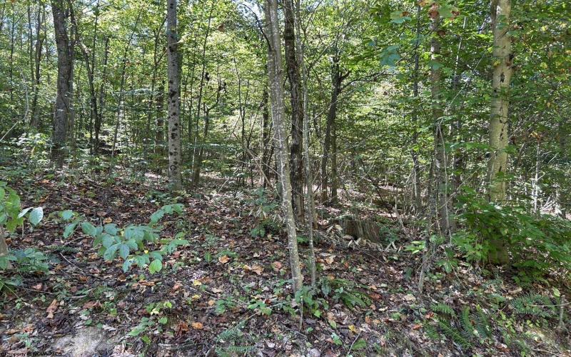 Lot 3 East Run Circle, Four States, West Virginia 26572, ,Lots/land,For Sale,East Run,10155725