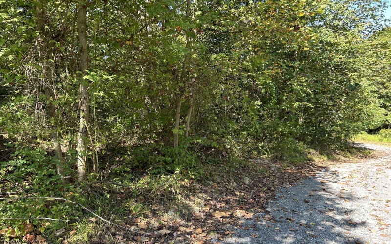 Lot 3 East Run Circle, Four States, West Virginia 26572, ,Lots/land,For Sale,East Run,10155725