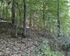 Lot 3 East Run Circle, Four States, West Virginia 26572, ,Lots/land,For Sale,East Run,10155725