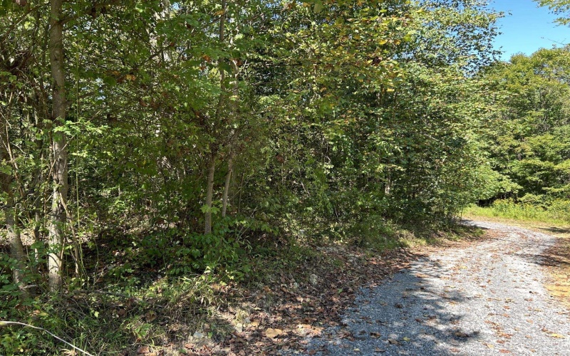 Lot 3 East Run Circle, Four States, West Virginia 26572, ,Lots/land,For Sale,East Run,10155725