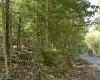 Lot 3 East Run Circle, Four States, West Virginia 26572, ,Lots/land,For Sale,East Run,10155725