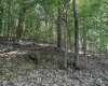 Lot 3 East Run Circle, Four States, West Virginia 26572, ,Lots/land,For Sale,East Run,10155725