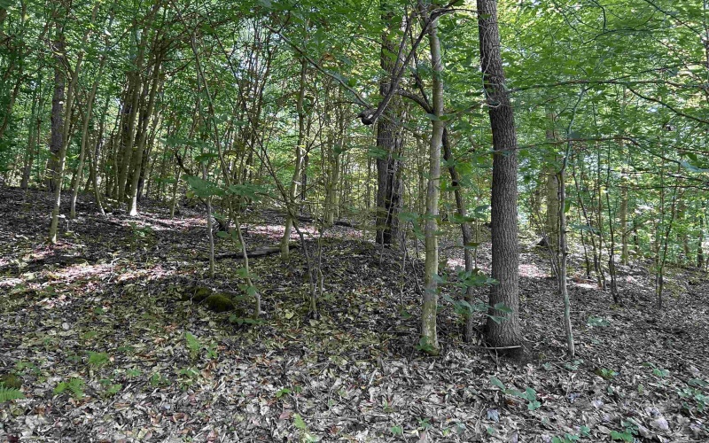 Lot 3 East Run Circle, Four States, West Virginia 26572, ,Lots/land,For Sale,East Run,10155725