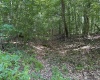 Lot 3 East Run Circle, Four States, West Virginia 26572, ,Lots/land,For Sale,East Run,10155725