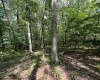 106 & 107 Lakeview Drive, Terra Alta, West Virginia 26764, ,Lots/land,For Sale,Lakeview,10155739