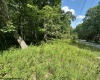 106 & 107 Lakeview Drive, Terra Alta, West Virginia 26764, ,Lots/land,For Sale,Lakeview,10155739