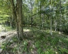 106 & 107 Lakeview Drive, Terra Alta, West Virginia 26764, ,Lots/land,For Sale,Lakeview,10155739