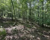 106 & 107 Lakeview Drive, Terra Alta, West Virginia 26764, ,Lots/land,For Sale,Lakeview,10155739