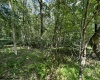 106 & 107 Lakeview Drive, Terra Alta, West Virginia 26764, ,Lots/land,For Sale,Lakeview,10155739