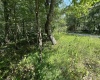 106 & 107 Lakeview Drive, Terra Alta, West Virginia 26764, ,Lots/land,For Sale,Lakeview,10155739