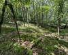 106 & 107 Lakeview Drive, Terra Alta, West Virginia 26764, ,Lots/land,For Sale,Lakeview,10155739