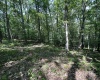 106 & 107 Lakeview Drive, Terra Alta, West Virginia 26764, ,Lots/land,For Sale,Lakeview,10155739