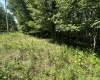 106 & 107 Lakeview Drive, Terra Alta, West Virginia 26764, ,Lots/land,For Sale,Lakeview,10155739