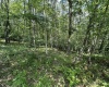 106 & 107 Lakeview Drive, Terra Alta, West Virginia 26764, ,Lots/land,For Sale,Lakeview,10155739