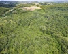 Lot 29, 30, 31 Wolfe Run Road, Morgantown, West Virginia 26508, ,Lots/land,For Sale,Wolfe Run,10155759