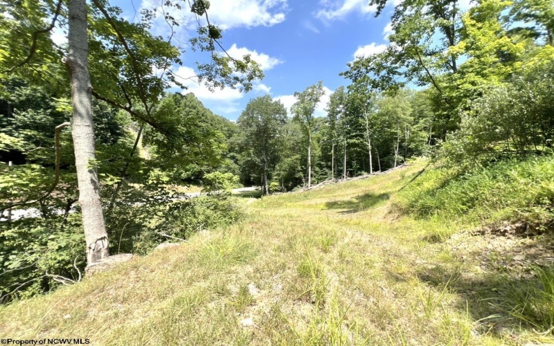 1186 Walker Fork Road, Copen, West Virginia 26615, 3 Bedrooms Bedrooms, 6 Rooms Rooms,2 BathroomsBathrooms,Single Family Detached,For Sale,Walker Fork,10155763