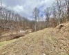1186 Walker Fork Road, Copen, West Virginia 26615, 3 Bedrooms Bedrooms, 6 Rooms Rooms,2 BathroomsBathrooms,Single Family Detached,For Sale,Walker Fork,10155763