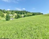 00 Stony Run Road, Buckhannon, West Virginia 26201, ,Lots/land,For Sale,Stony Run,10155773