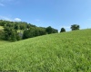 00 Stony Run Road, Buckhannon, West Virginia 26201, ,Lots/land,For Sale,Stony Run,10155773