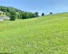 00 Stony Run Road, Buckhannon, West Virginia 26201, ,Lots/land,For Sale,Stony Run,10155773