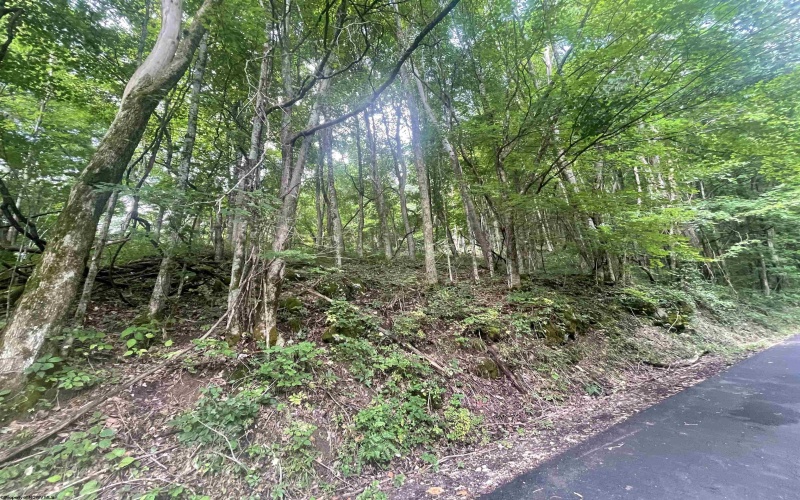 TBD KUMBRABOW FOREST Road, Huttonsville, West Virginia 26273, ,Lots/land,For Sale,KUMBRABOW FOREST,10155777