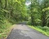 TBD KUMBRABOW FOREST Road, Huttonsville, West Virginia 26273, ,Lots/land,For Sale,KUMBRABOW FOREST,10155777