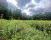 TBD KUMBRABOW FOREST Road, Huttonsville, West Virginia 26273, ,Lots/land,For Sale,KUMBRABOW FOREST,10155777