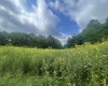 TBD KUMBRABOW FOREST Road, Huttonsville, West Virginia 26273, ,Lots/land,For Sale,KUMBRABOW FOREST,10155777