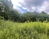 TBD KUMBRABOW FOREST Road, Huttonsville, West Virginia 26273, ,Lots/land,For Sale,KUMBRABOW FOREST,10155777