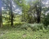 TBD KUMBRABOW FOREST Road, Huttonsville, West Virginia 26273, ,Lots/land,For Sale,KUMBRABOW FOREST,10155777