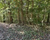 Lot 2 East Run Circle, Four States, West Virginia 26572, ,Lots/land,For Sale,East Run,10155780