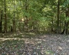 Lot 2 East Run Circle, Four States, West Virginia 26572, ,Lots/land,For Sale,East Run,10155780