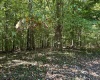 Lot 2 East Run Circle, Four States, West Virginia 26572, ,Lots/land,For Sale,East Run,10155780