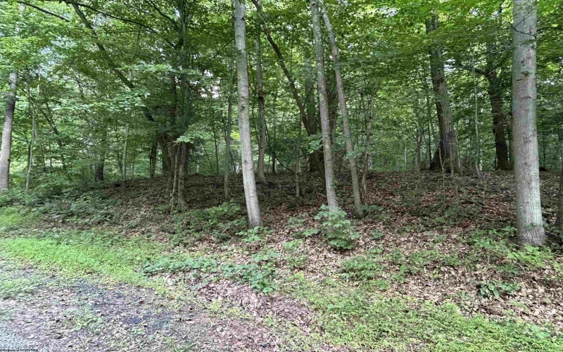 Lot 2 East Run Circle, Four States, West Virginia 26572, ,Lots/land,For Sale,East Run,10155780