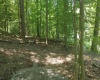 TBD Harvest Drive, Fairmont, West Virginia 26554, ,Lots/land,For Sale,Harvest,10155783