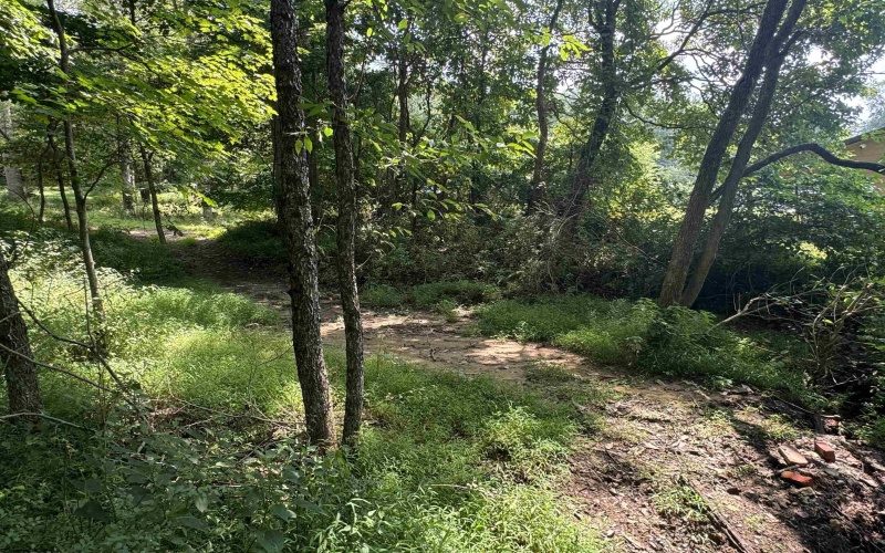 TBD Harvest Drive, Fairmont, West Virginia 26554, ,Lots/land,For Sale,Harvest,10155783