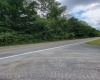 0 Kings Run Road, Beverly, West Virginia 26253, ,Lots/land,For Sale,Kings Run,10155833