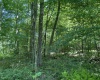 Lots 11 & 13 Cherry Wood Lane, Terra Alta, West Virginia 26764, ,Lots/land,For Sale,Cherry Wood,10152691