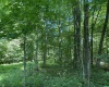 Lots 11 & 13 Cherry Wood Lane, Terra Alta, West Virginia 26764, ,Lots/land,For Sale,Cherry Wood,10152691