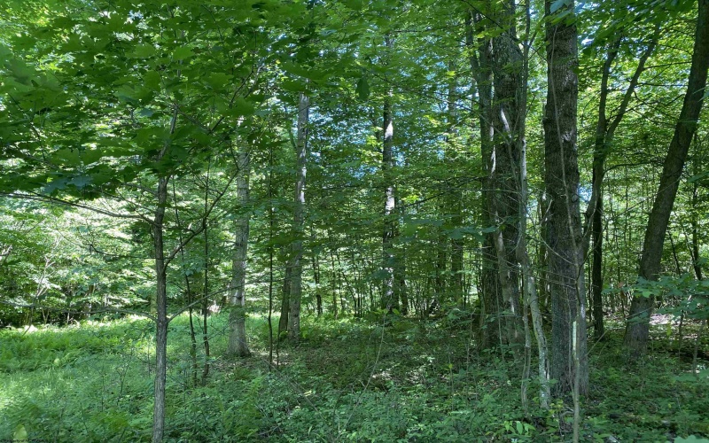 Lots 11 & 13 Cherry Wood Lane, Terra Alta, West Virginia 26764, ,Lots/land,For Sale,Cherry Wood,10152691